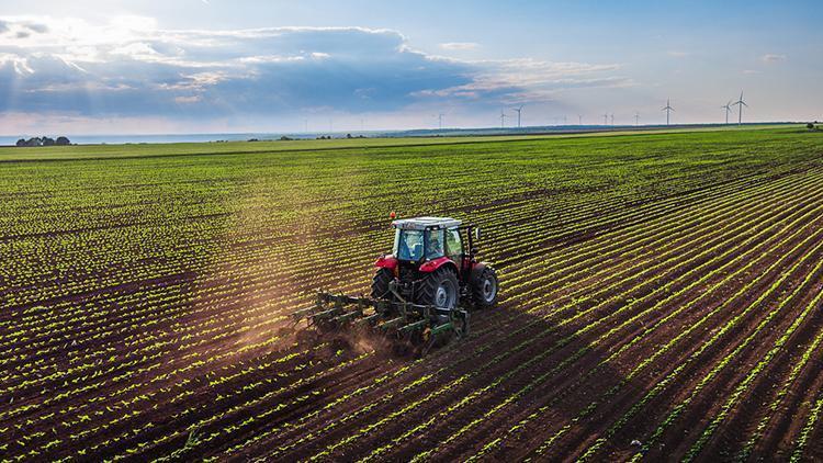 6794d55fd6359c7241946f8b