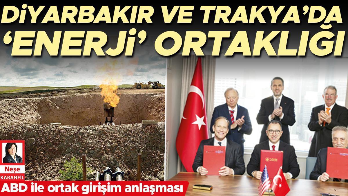 67d3a8dc6a4d5a3fe3f7193f